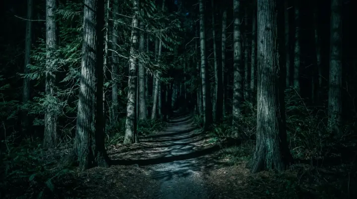 Demon Slayer — AI-generated night forest panel scene